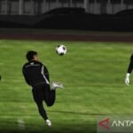 Here are some alternate title suggestions for “Emil Audero Absen, Kluivert Singgung Penampilan Apik Nadeo Argawinata”:
1. “Kehilangan Emil Audero, Kluivert Puji Kinerja Nadeo Argawinata”
2. “Emil Audero Tidak Hadir, Kluivert Soroti Penampilan Cemerlang Nadeo Argawinata”
3. “Tanpa Emil Audero, Kluivert Merestui Kehebatan Nadeo Argawinata”
4. “Emil Audero Absen, Nadeo Argawinata Mencuri Perhatian di Mata Kluivert”
5. “Kluivert Puji Nadeo Argawinata di Tengah Ketidakhadiran Emil Audero Dewa United Resmi Melepas Sjoerd Woudenberg ke Timnas Indonesia